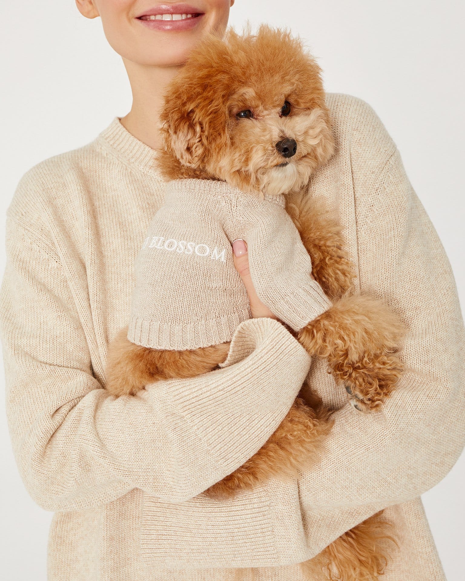 Джемпер для собак